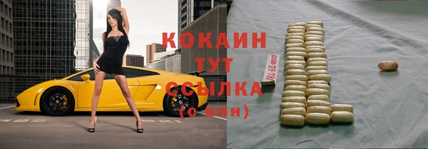 твердый Фёдоровский