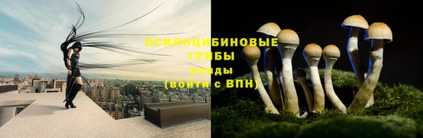 Альфа ПВП Магадан