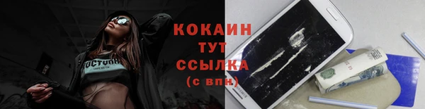 apvp Магас