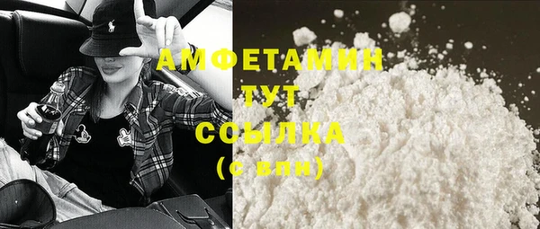 ECSTASY Богданович