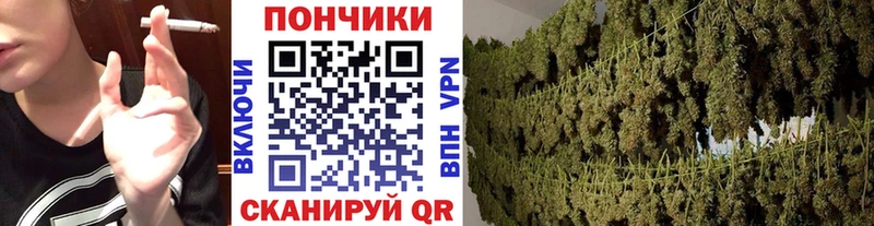 МАРИХУАНА индика  Безенчук 